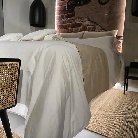 Apartamento Loft Carmenes